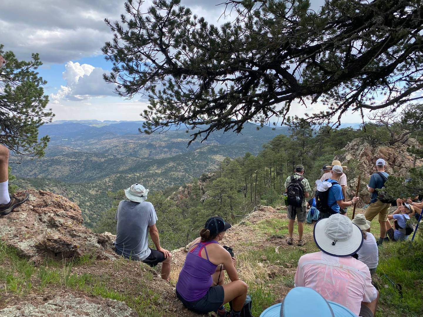 Hikers resting at a rocky overlook beneath a pine, gazing across ridge after ridge of green mountains